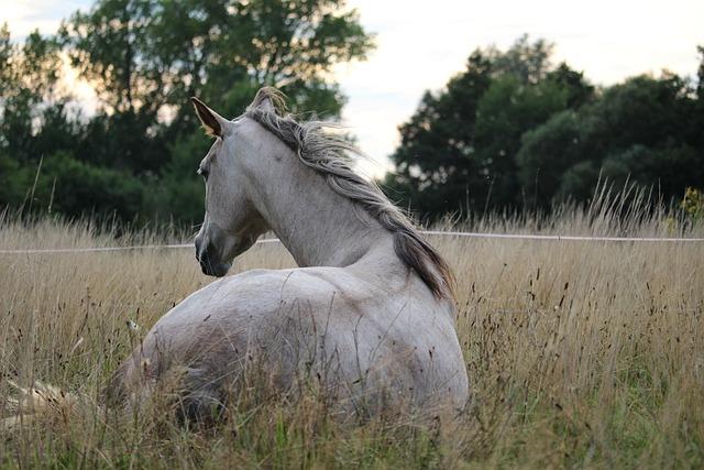 Jak na plíseň v bytě: Účinné babské ‍rady