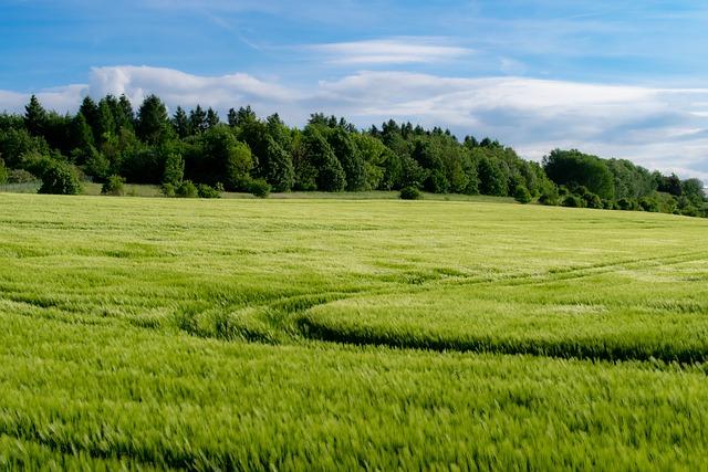 Pěstování zeleniny snadno ‍a rychle: Babské ‌rady