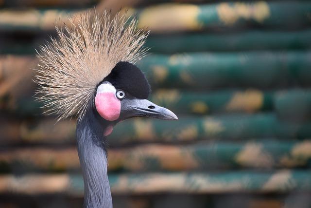 Biologické vlastnosti kliešťov