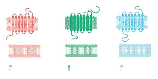 Fosfolipidy a cholesterol: Kľúčové pre detskú výživu