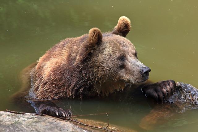 Použitie tepla a chladu na úľavu od bolesti