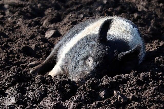 Vhodná spodná bielizeň: Čomu sa vyhnúť a čo preferovať