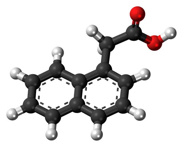 Hormon kortizol a jeho úloha v zvyšovaní cholesterolu