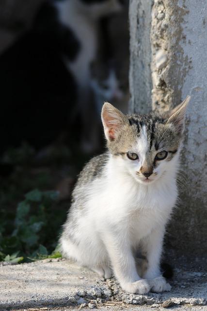 Kedy hľadať odbornú pomoc: kňazi, liečitelia a terapeuti