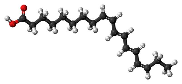 Esenciálne mastné kyseliny: Omega-3 v boji proti cholesterolu