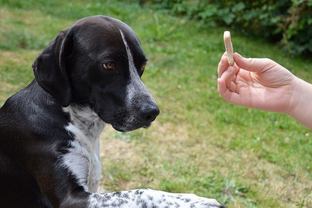 Obedy a večere bohaté​ na vlákninu‍ a nízkocholesterolové