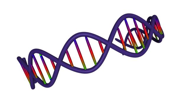 Podrobné vysvetlenie biochemických mechanizmov